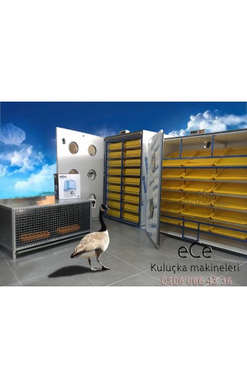 KAZ KULUÇKA MAKİNASI 750 GELİŞİM 750 ÇIKIM KOMBİNE 2YIL GARANTİ…