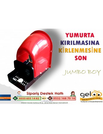 HOBİ TAVUK FOLLUK JUMBO BOY